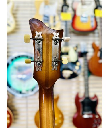 Höfner Violinbas