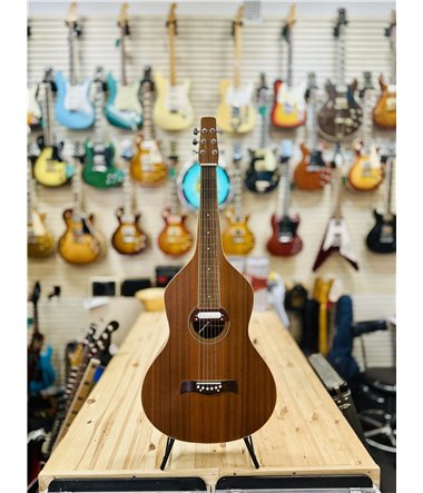 Weissenborn Copy med pickup