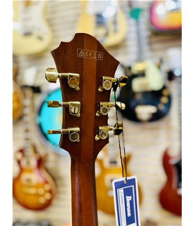 Pat Metheny 