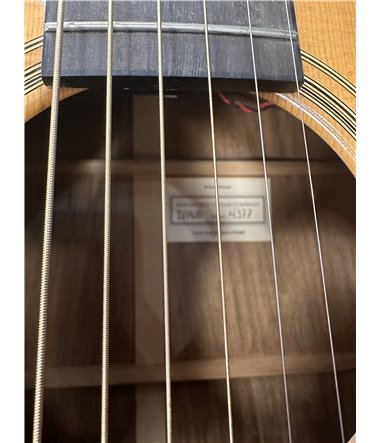 Santa Cruz D/WB Dreadnaught Gran Rosewood