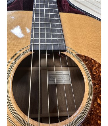 Santa Cruz D/WB Dreadnaught Gran Rosewood