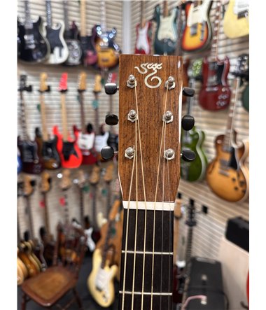 Santa Cruz D/WB Dreadnaught Gran Rosewood