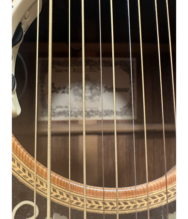 Bozo Handbyggd 12-strängad gitarr "Gitarren som var Leo Kottkes favorit"