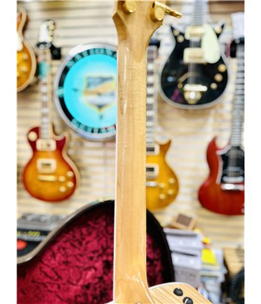 Taylor 618e
