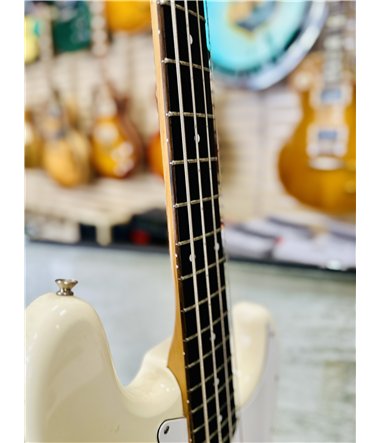 Fender Midibas