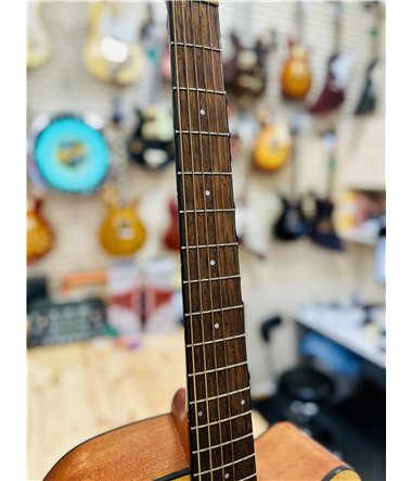 Ibanez PF10CE-OPN