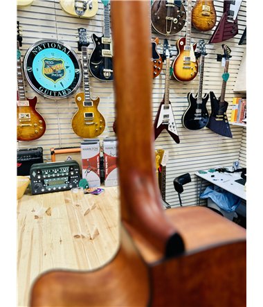 Ibanez PF10CE-OPN