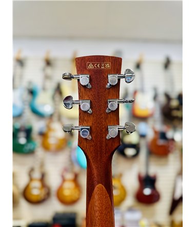Ibanez PF10CE-OPN